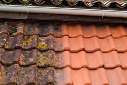 Image depicting the Service Roof Cleaning