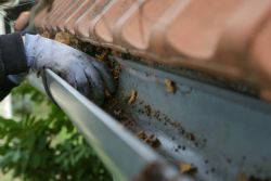 Image depicting the Service Gutter Cleaning